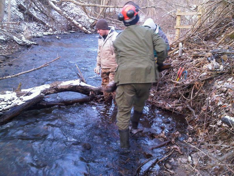 Assessing Blockage